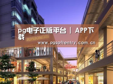 案例展示一(图1)
