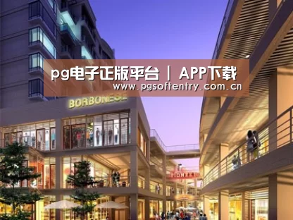 案例展示一