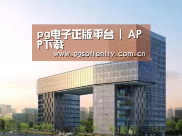 案例展示四