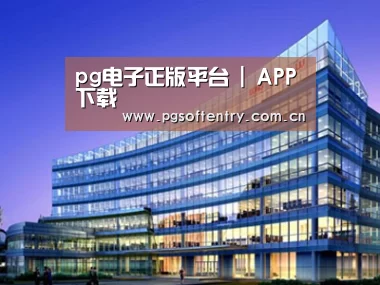 案例展示五