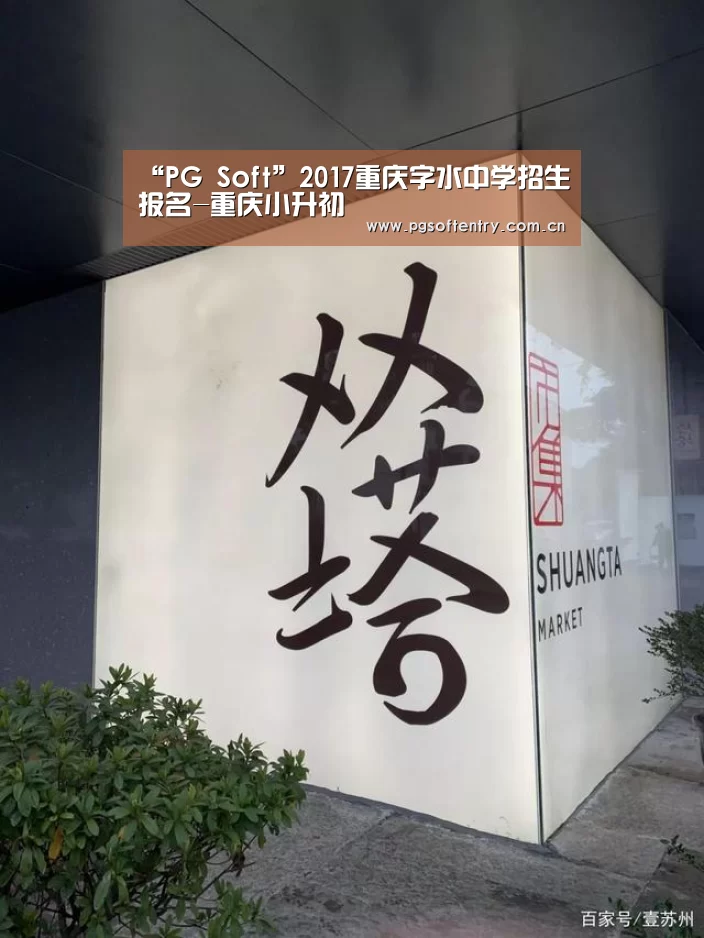 “PG Soft”2017重庆字水中学招生报名-重庆小升初(图2) PG Soft