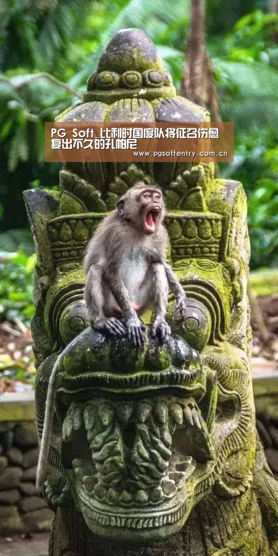 PG Soft_比利时国度队将征召伤愈复出不久的孔帕尼(图3) pg电子试玩