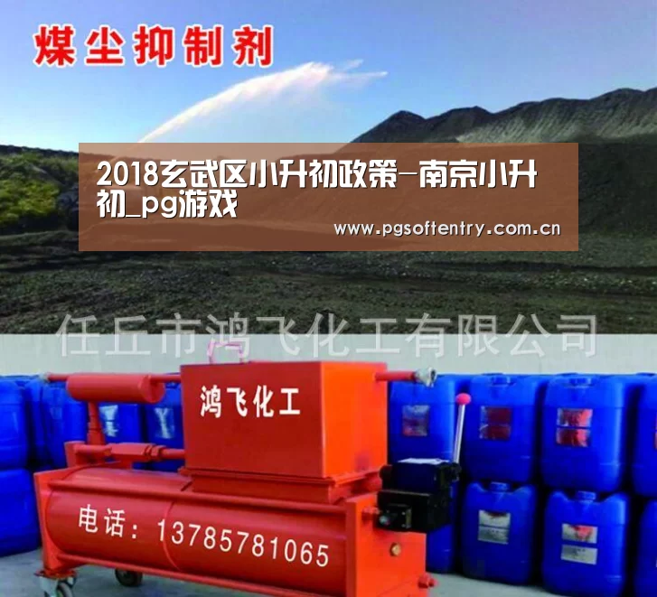 2018玄武区小升初政策-南京小升初_pg游戏(图1) pg电子