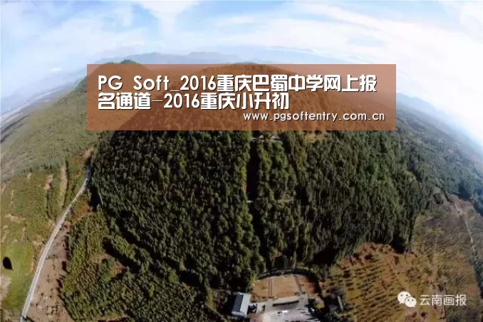 pg游戏