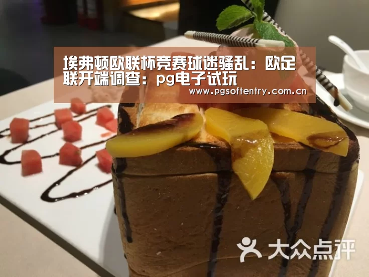 埃弗顿欧联杯竞赛球迷骚乱:欧足联开端调查:pg电子试玩(图2) pg游戏