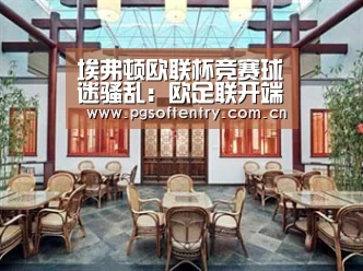 埃弗顿欧联杯竞赛球迷骚乱:欧足联开端调查:pg电子试玩(图3) pg游戏